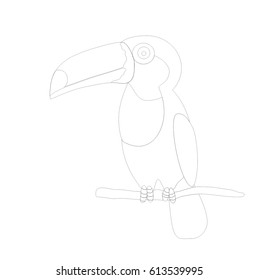 toucan. Contour for coloring