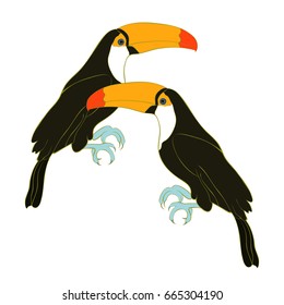 Toucan couple a  exotic bird. Vector illustration