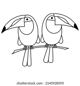 Toucan couple line icon. Vector cute toucan bird illustration isolated on white background. Tropical jungle nature web graphics