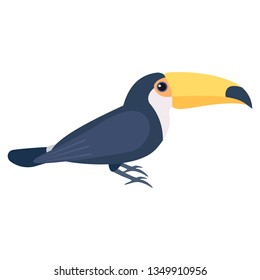 Toucan, cute bird. Isolated vector illustration