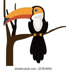 Toucan design, vector illustration