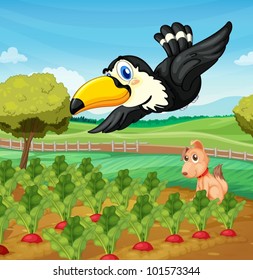 Toucan and a dog in a farm