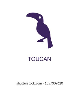 Toucan element in flat simple style on white background. Toucan icon, with text name concept template