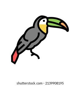 toucan exotic bird color icon vector. toucan exotic bird sign. isolated symbol illustration