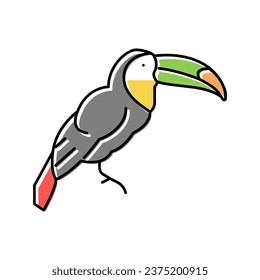 toucan exotic bird color icon vector. toucan exotic bird sign. isolated symbol illustration