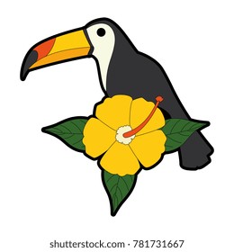 toucan exotic bird with flower