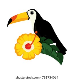 toucan exotic bird with flower