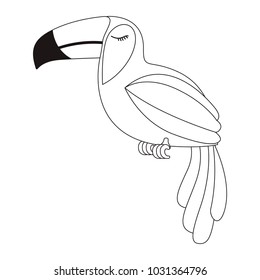 toucan exotic bird icon