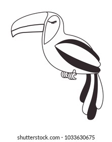 toucan exotic bird icon
