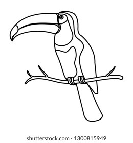 toucan exotic bird icon