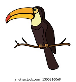 toucan exotic bird icon