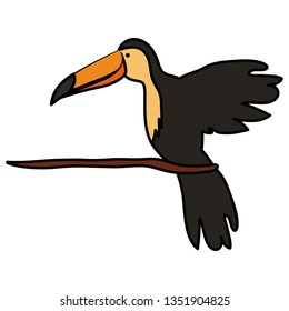 toucan exotic bird icon