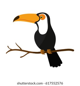 toucan exotic bird icon