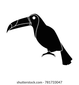 toucan exotic bird icon