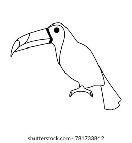 toucan exotic bird icon