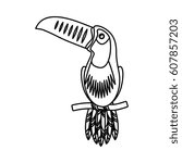 toucan exotic bird icon vector illustration design