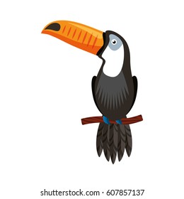 toucan exotic bird icon vector illustration design