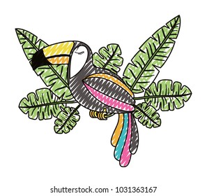 toucan exotic bird with leafs palm