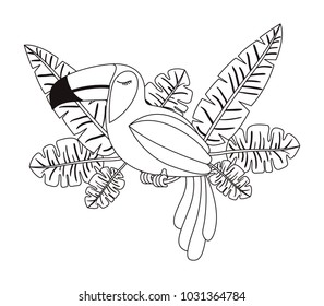 toucan exotic bird with leafs palm
