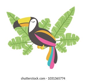 toucan exotic bird with leafs palm