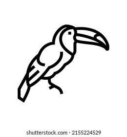 toucan exotic bird line icon vector. toucan exotic bird sign. isolated contour symbol black illustration