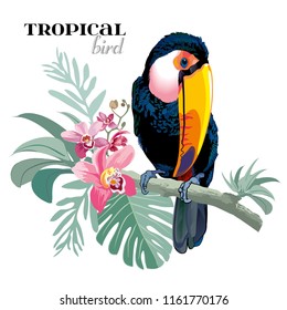 Pájaros exóticos, flores tropicales, hojas de palma, hojas de selva, pájaro del paraíso.