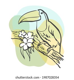 Toucan exotic bird sits on a branch in the tropics. Simple line drawing isolated on white background