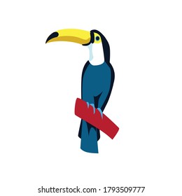 Toucan exotic bird sitting on branch. Beautiful bird with black and white feathers and wings. Tropical nature wildlife design element cartoon vector illustration isolated on white background