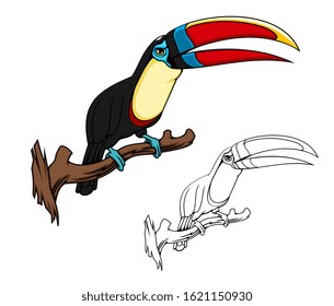 Mascota de dibujos animados con vector de aves exóticas, ave de bosque tropical o jungla. Tocan de citrón en rama de árbol con plumaje azul alrededor de los ojos, plumaje negro, amarillo y rojo sobre las alas y la cola