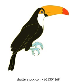 Toucan  is a  exotic bird Vector illustration