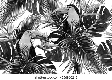 Toucan, exotic birds, tropical flowers, palm leaves, jungle leaf, bird of paradise flower seamless vector floral pattern. Tropic monochrome background