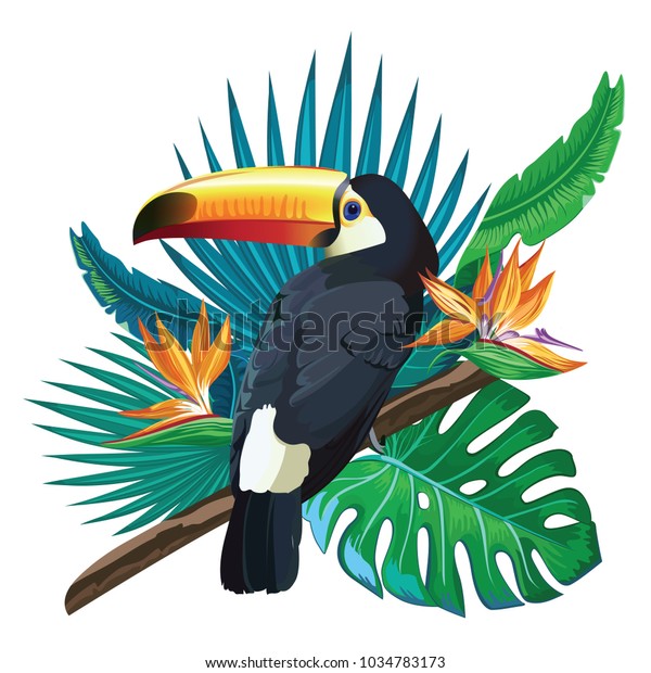 Image Vectorielle De Stock De Toucan Oiseaux Exotiques