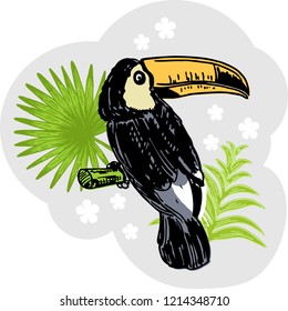 Toucan. Exotic tropical birds. Toucan bird cartoon character. Cute tucan. South America fauna. Wild animal illustration for zoo ad, nature concept, children book illustration