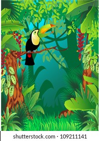 a toucan in exotic tropical forest