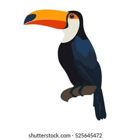  Toucan. Exotic and wild tropical bird. Toucan sitting on tree. Vector.