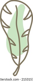 Toucan feather, illustration, vector on a white background.