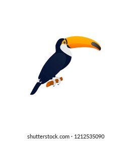 Toucan in flat design. Vector. Tropical, exotic bird isolated. American fauna on white background. Zoo animal. Cartoon Illustration.