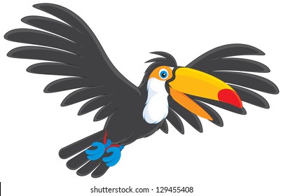 Toucan flying