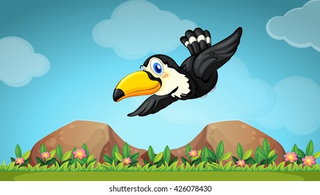 Toucan flying in the sky illustration