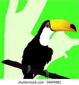 Toucan in a forest - vector