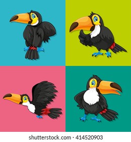 Toucan in four frames illustration