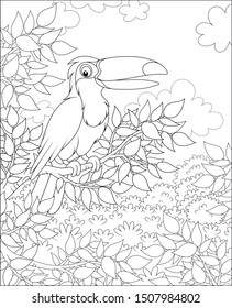 Toucan with a funny beak perched on a tree branch in tropical jungle, black and white vector illustrations in a cartoon style for a coloring book