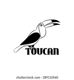 toucan graphic design , logo