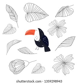 toucan and graphic illustration