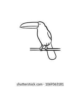 Toucan hand drawn outline doodle icon. Exotic bird -toucan vector sketch illustration for print, web, mobile and infographics isolated on white background.