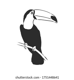 toucan hand drawn vector llustration realistic sketch, Toucan bird, vector sketch illustration