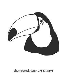 toucan hand drawn vector llustration realistic sketch, Toucan bird, vector sketch illustration