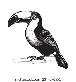 Toucan. Handgezeichnete Illustrationen im Stilstil.