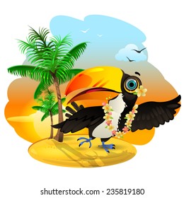 Toucan in Hawaii
