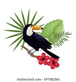 toucan hibiscus branch palm leaves